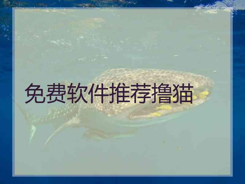 免费软件推荐撸猫