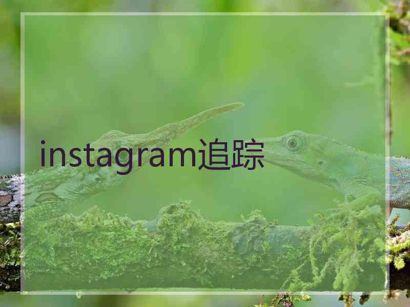instagram追踪