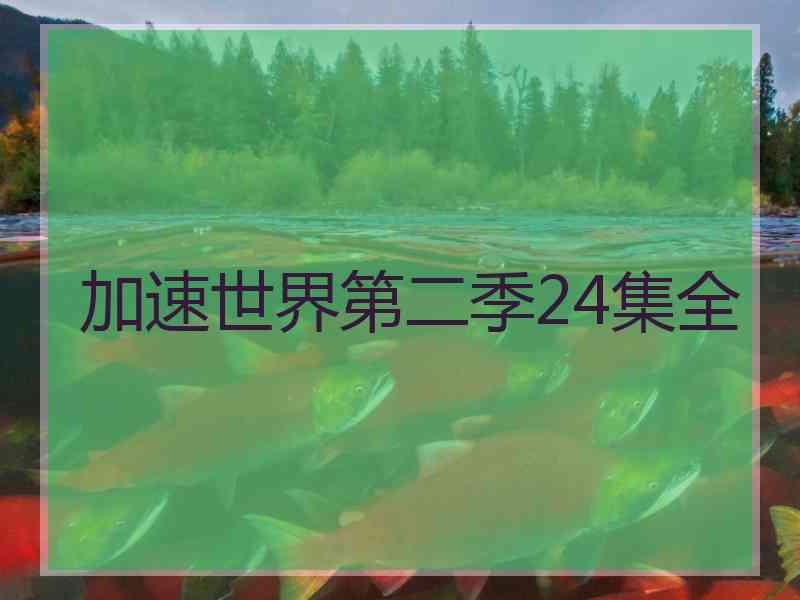 加速世界第二季24集全