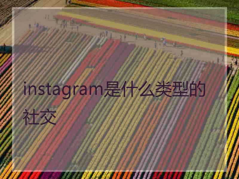instagram是什么类型的社交