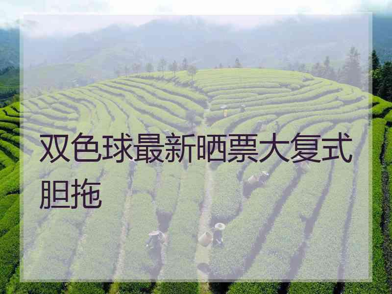 双色球最新晒票大复式胆拖