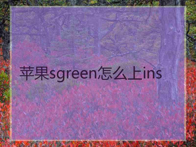 苹果sgreen怎么上ins