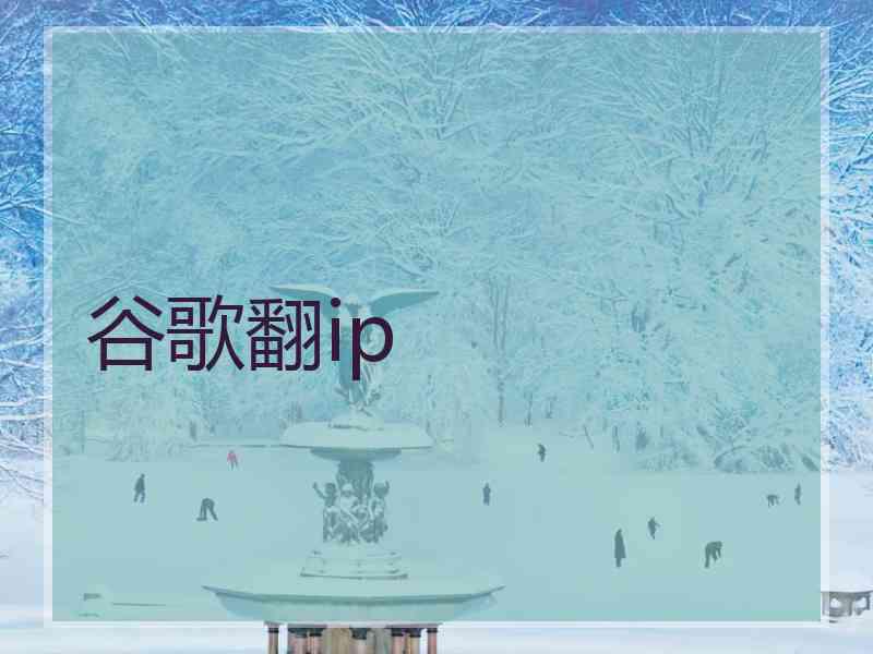 谷歌翻ip
