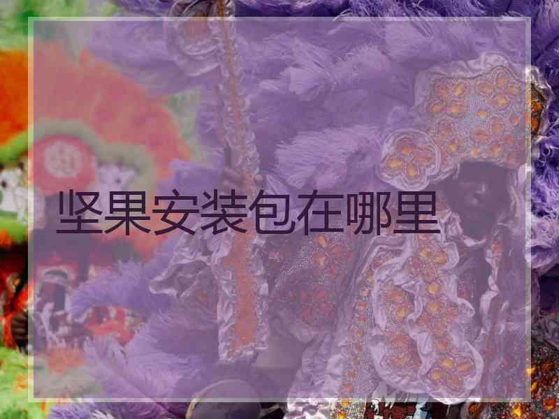 坚果安装包在哪里
