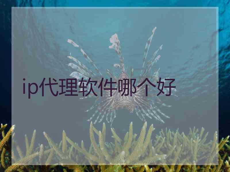 ip代理软件哪个好