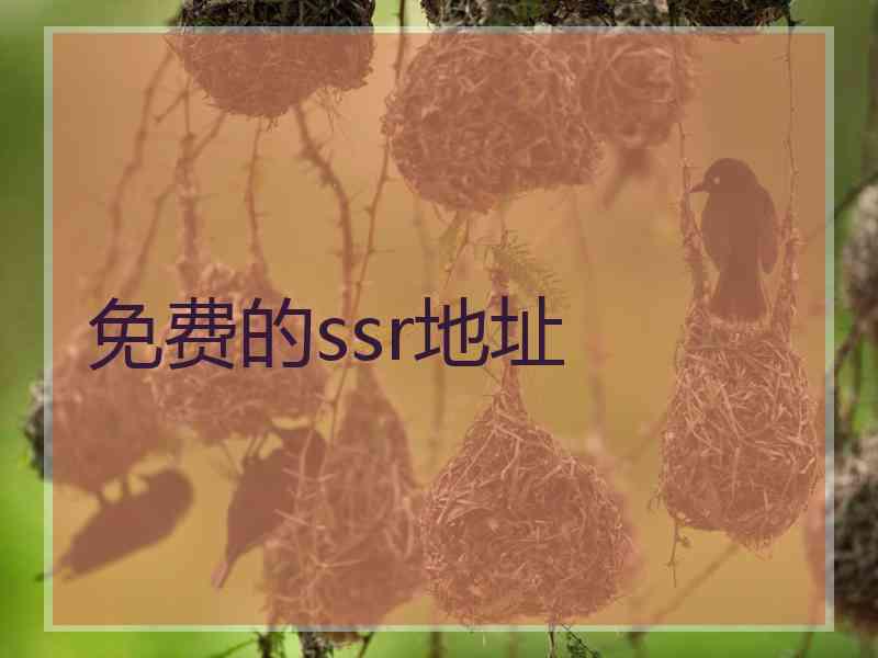 免费的ssr地址