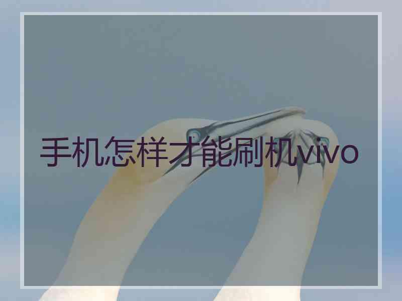 手机怎样才能刷机vivo