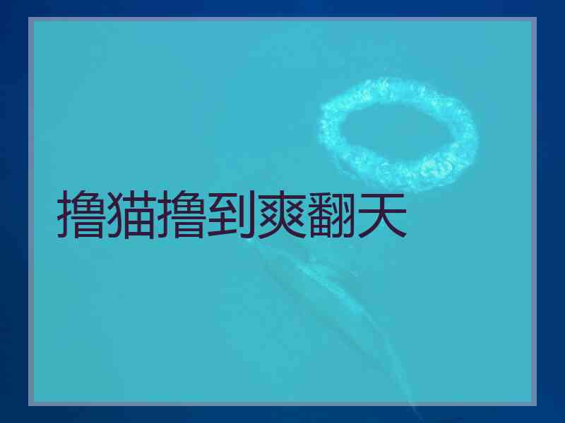 撸猫撸到爽翻天