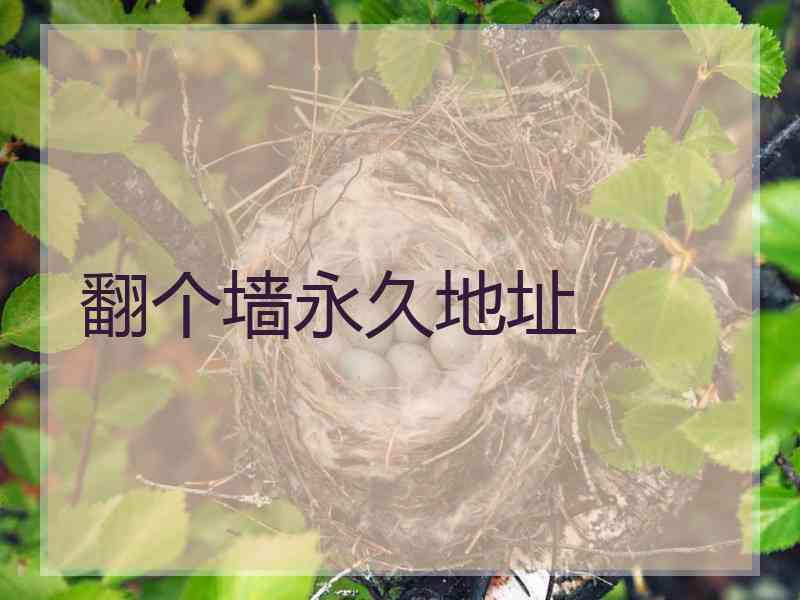 翻个墙永久地址