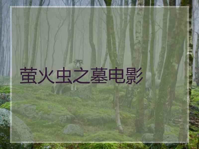 萤火虫之墓电影