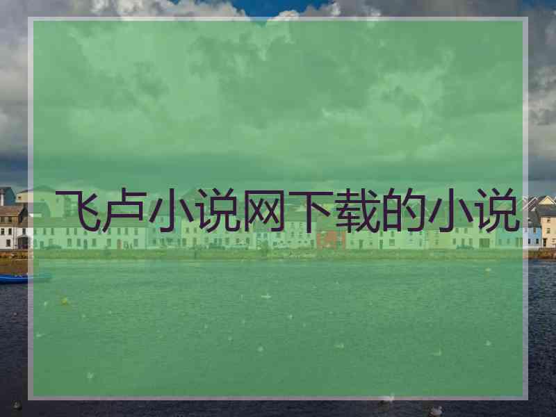 飞卢小说网下载的小说