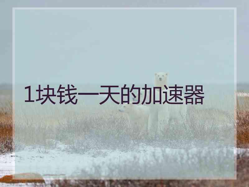 1块钱一天的加速器