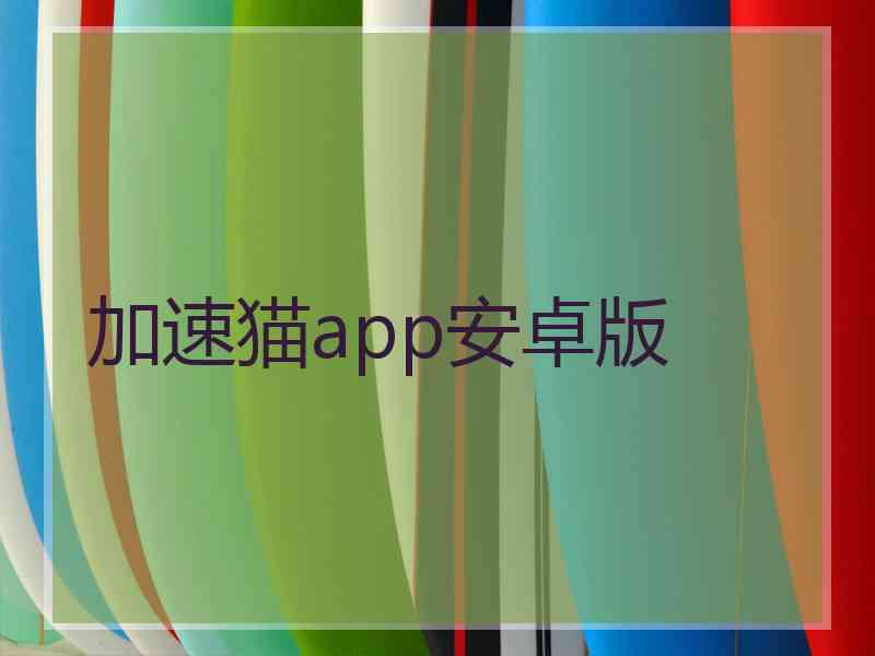 加速猫app安卓版