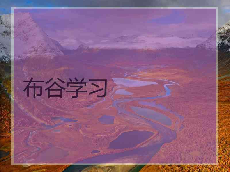 布谷学习