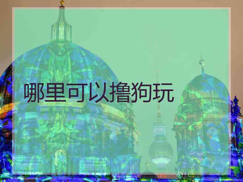 哪里可以撸狗玩