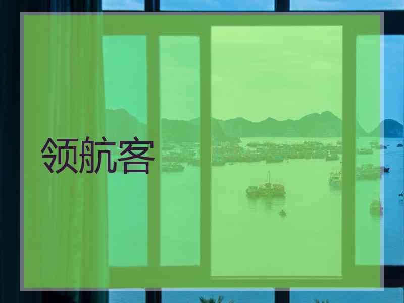 领航客