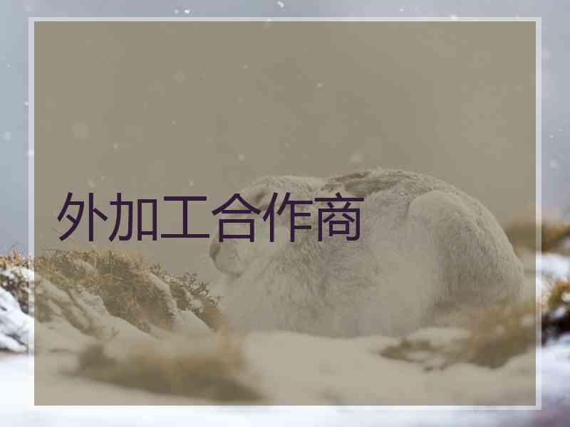 外加工合作商