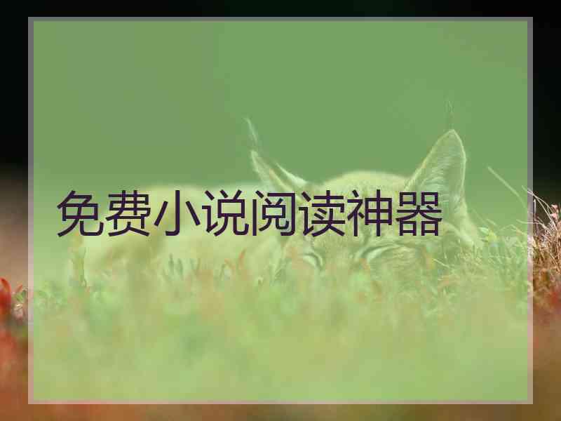 免费小说阅读神器