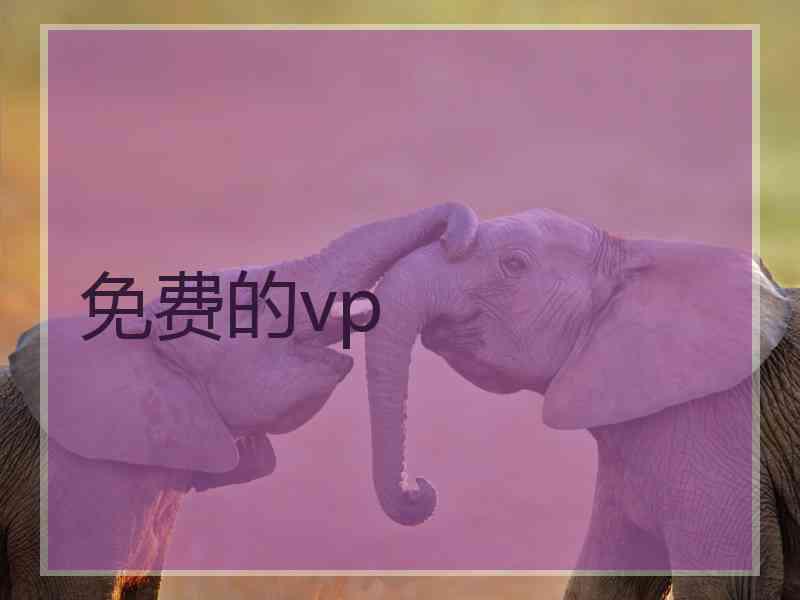 免费的vp