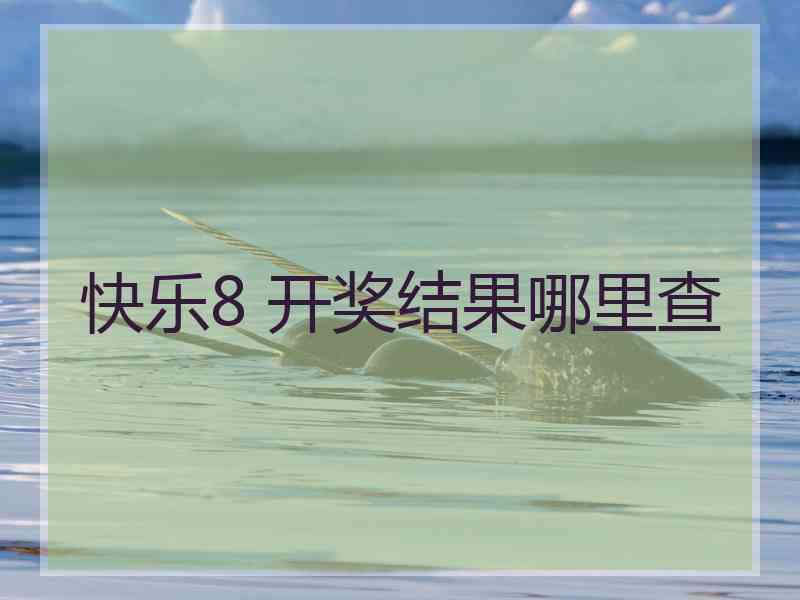 快乐8 开奖结果哪里查