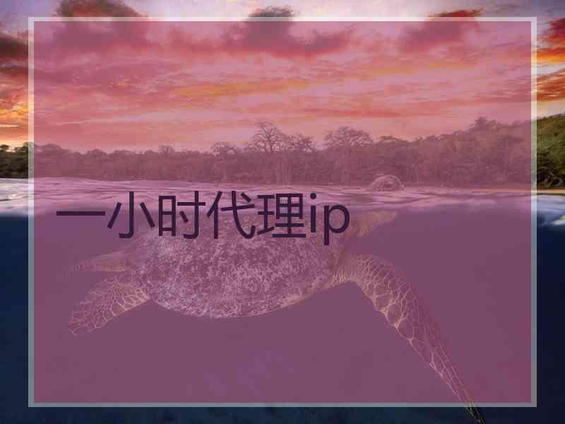一小时代理ip