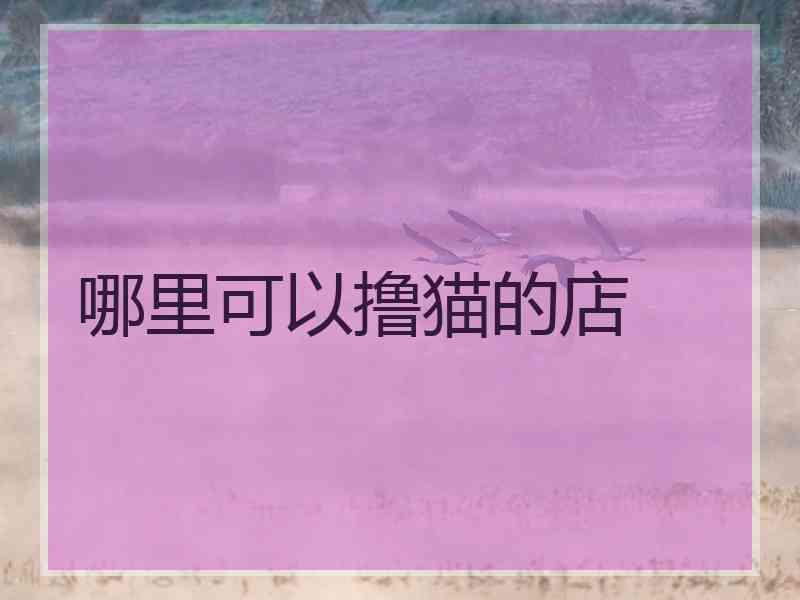 哪里可以撸猫的店