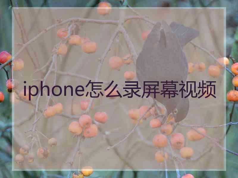 iphone怎么录屏幕视频