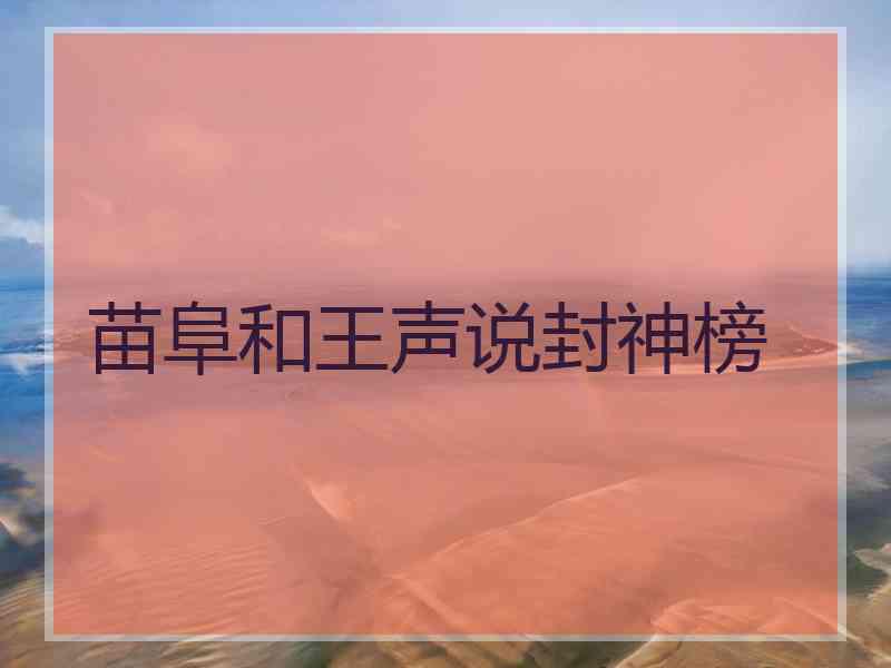 苗阜和王声说封神榜