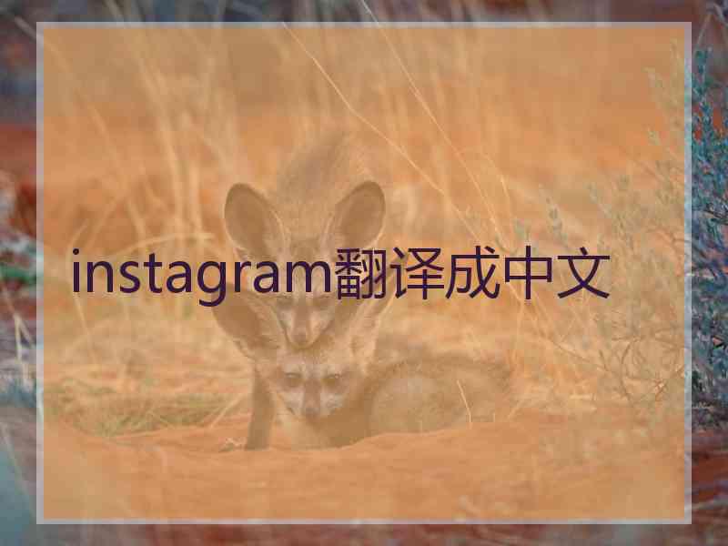 instagram翻译成中文