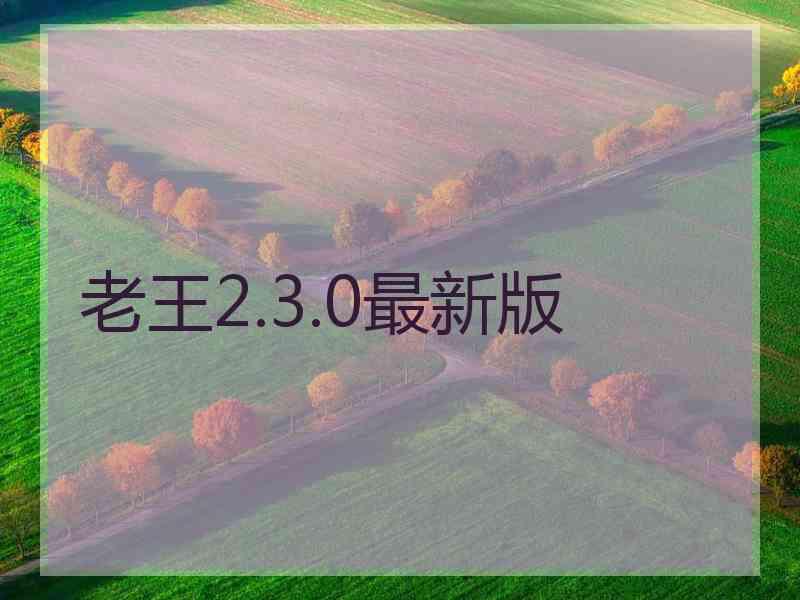 老王2.3.0最新版