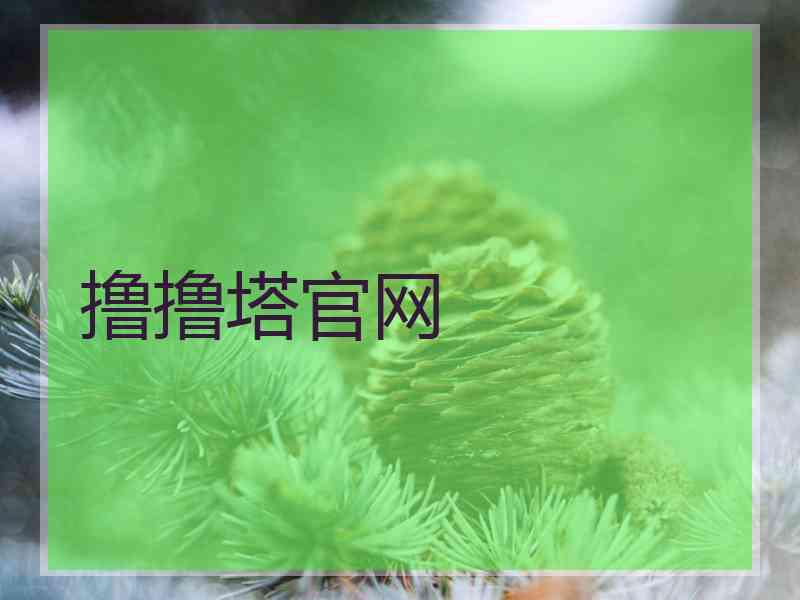 撸撸塔官网
