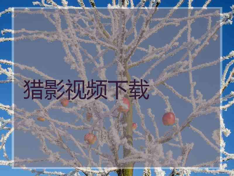 猎影视频下载