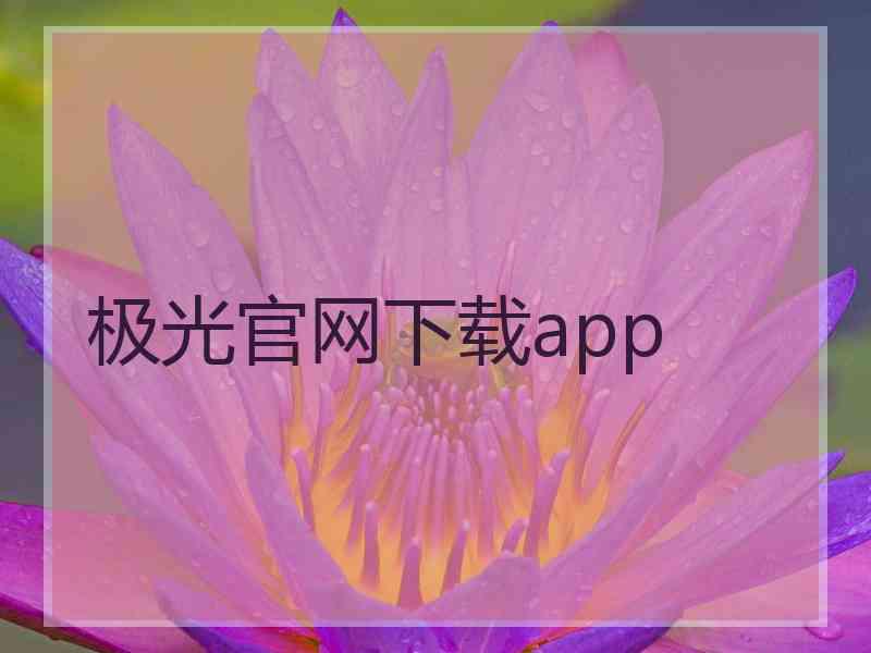 极光官网下载app