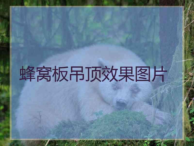 蜂窝板吊顶效果图片
