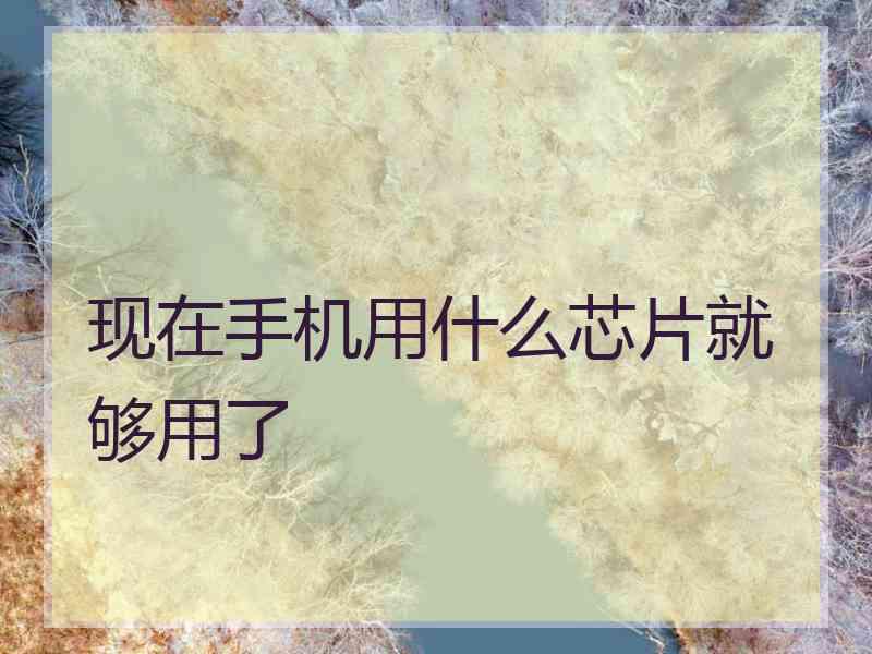 现在手机用什么芯片就够用了