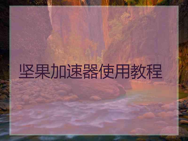 坚果加速器使用教程