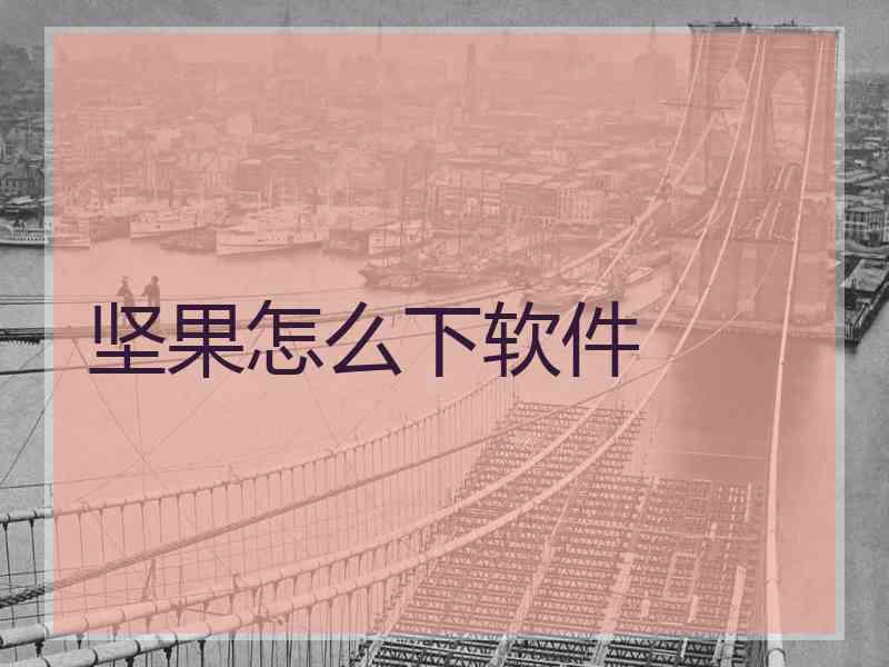 坚果怎么下软件