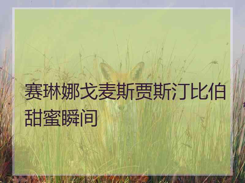 赛琳娜戈麦斯贾斯汀比伯甜蜜瞬间