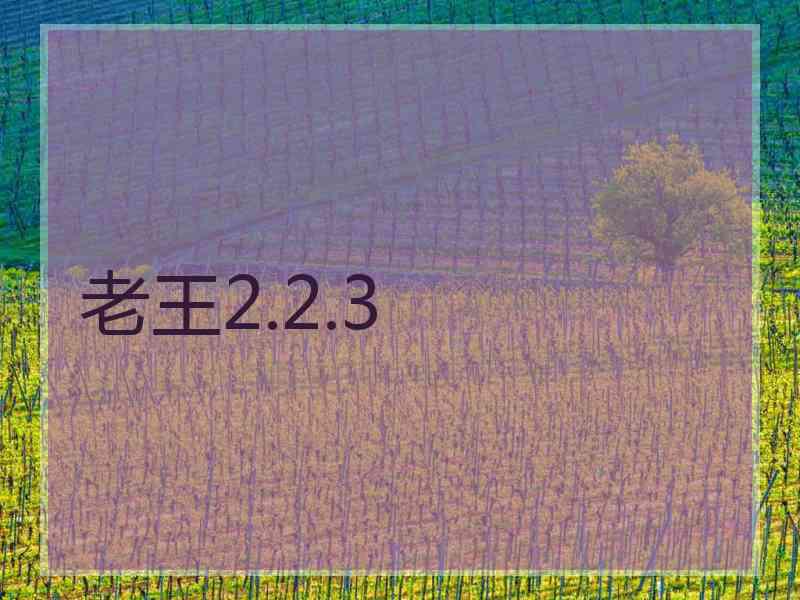 老王2.2.3