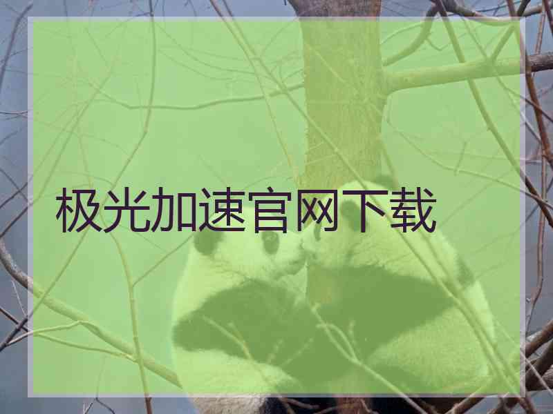 极光加速官网下载