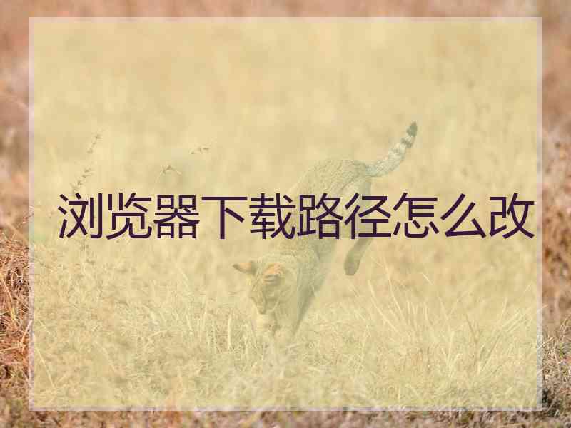 浏览器下载路径怎么改