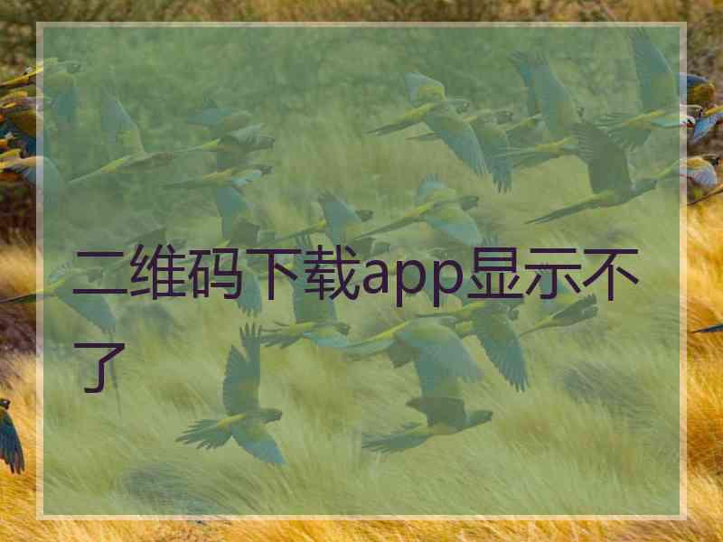 二维码下载app显示不了