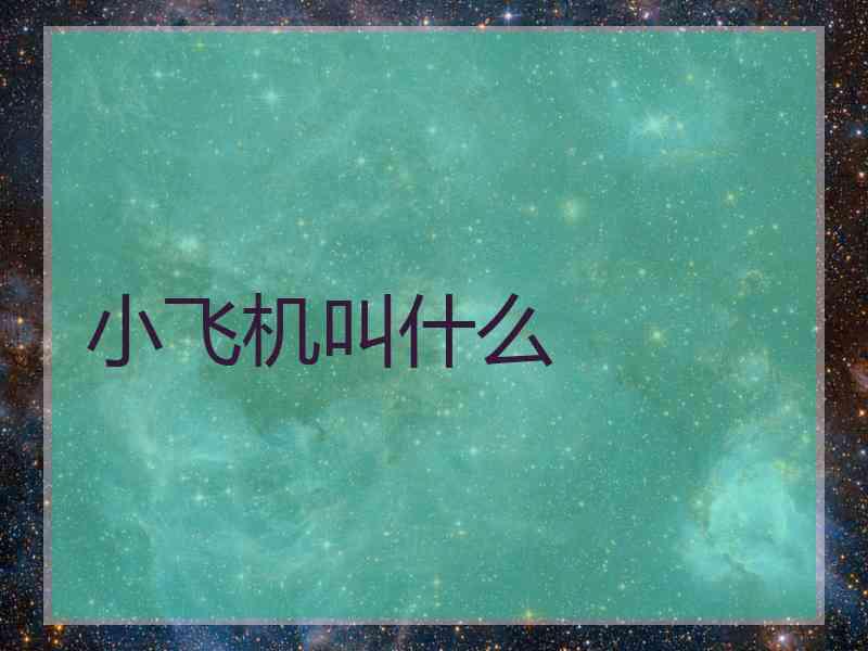 小飞机叫什么