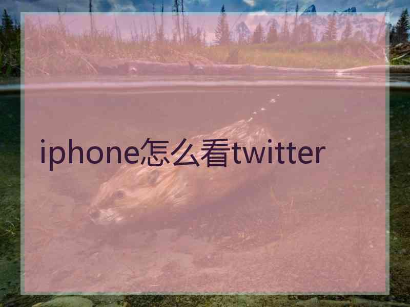 iphone怎么看twitter