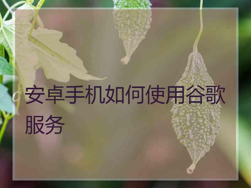 安卓手机如何使用谷歌服务