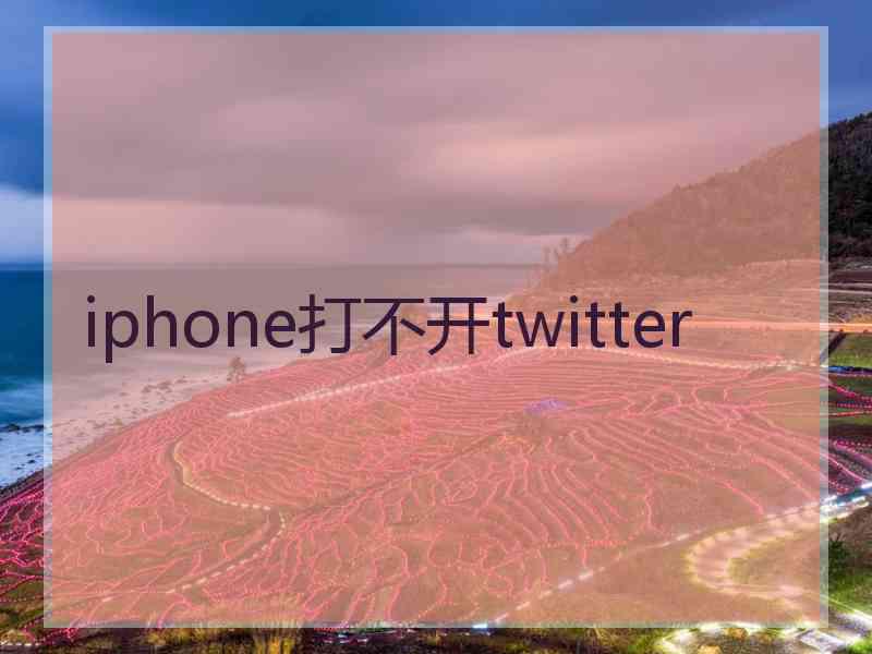 iphone打不开twitter