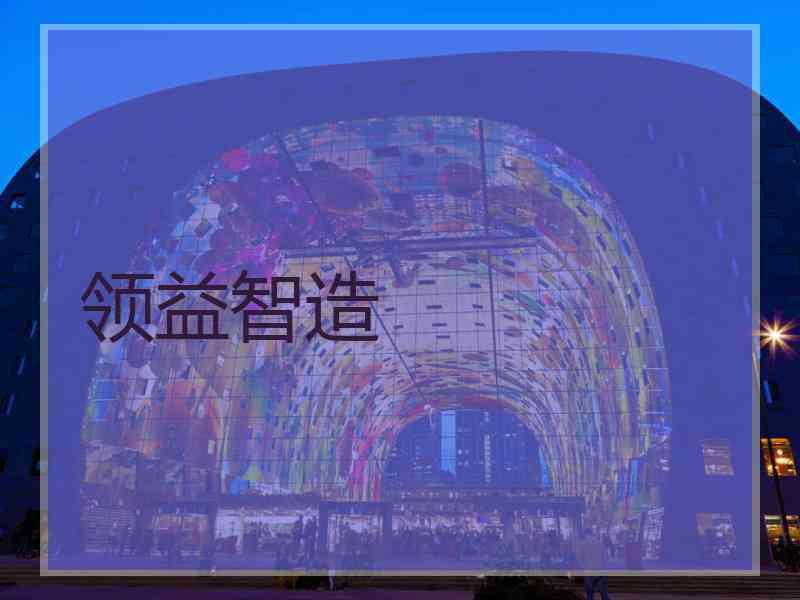 领益智造