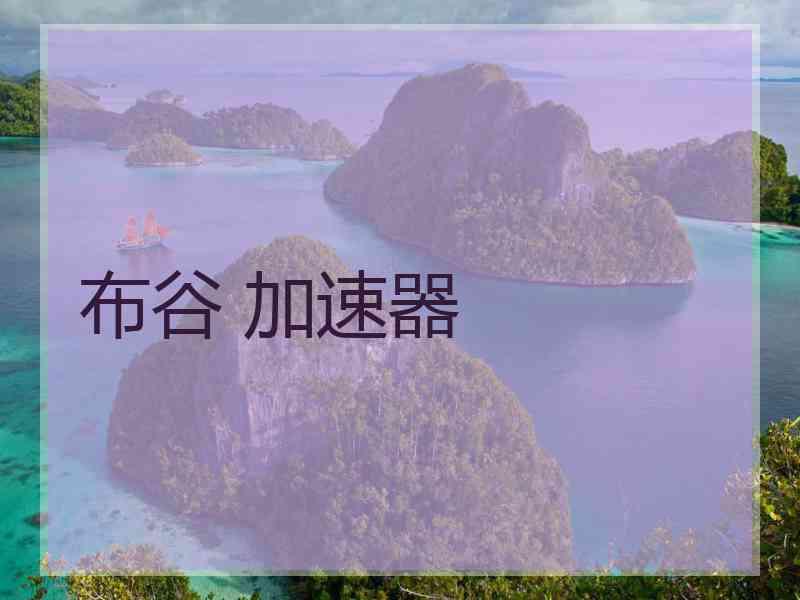布谷 加速器