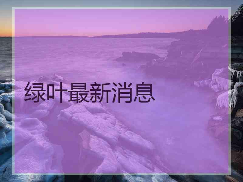 绿叶最新消息