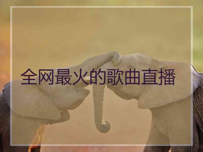 全网最火的歌曲直播